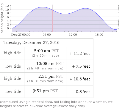 WolframAlpha Results diagram