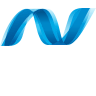 .NET Binding (v1.0)